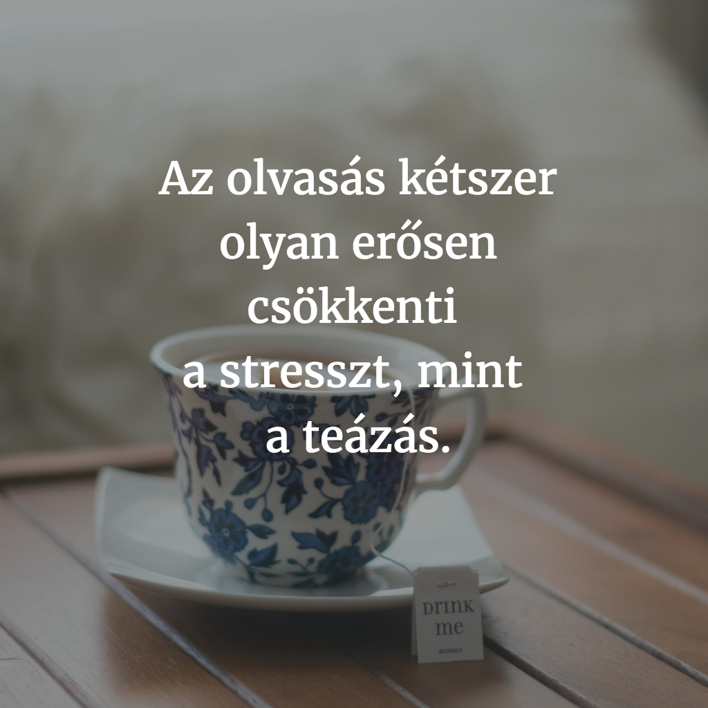 Galéria: Elképesztő tények az olvasás pozitív egészségügyi hatásairól