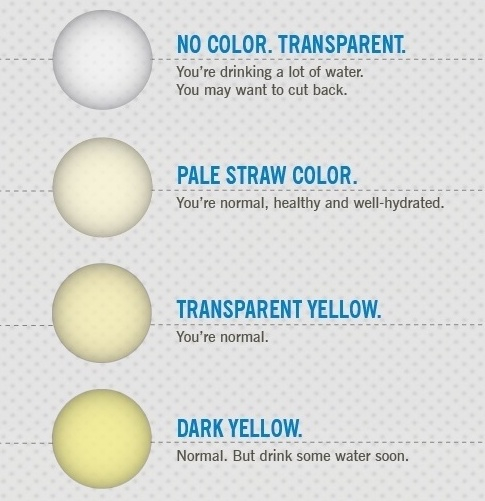 Galéria: Frappáns infografika, amiből megtudhatod mit jelent a vizeleted színe