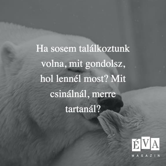 Galéria: Erre a 10 kérdésre mindeképp tudnod kell a választ, mielőtt házasságot kötsz valakivel