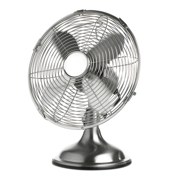 Galéria: Így tedd szúnyog-biztossá az otthonodat! – 4 tipp