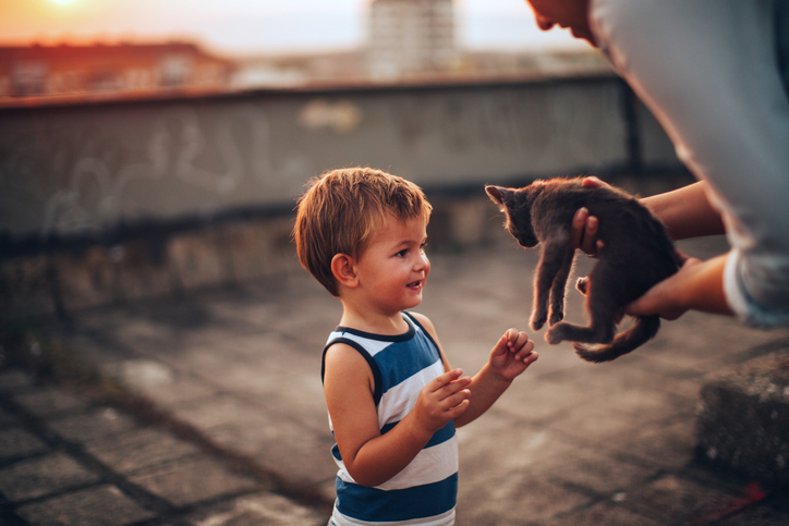Galéria: Ezért is jó, ha megengeded a gyereknek az első kisállatot