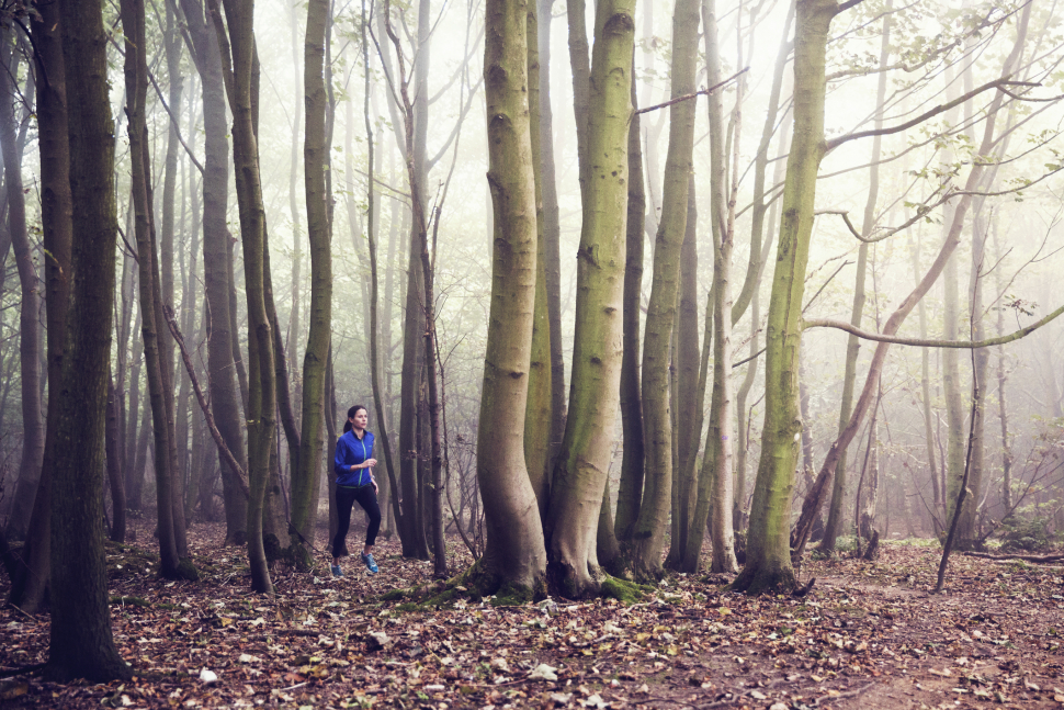 Galéria: 5 fitt módszer, amivel minden ősszel felkészítem a szervezetemet az ünnepekre
