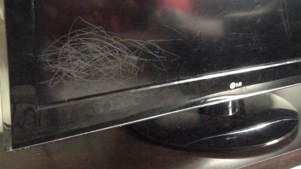 Galéria: 12 fotó, ami bizonyítja, hogy a gyereked mellett sosem fogsz unatkozni