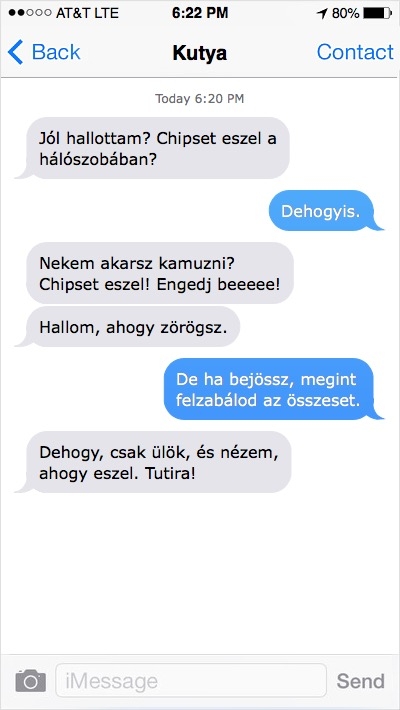 Galéria: Ha a kutyák tudnának sms-ezni, tutira ilyen üzenetek lennének a telefonodban
