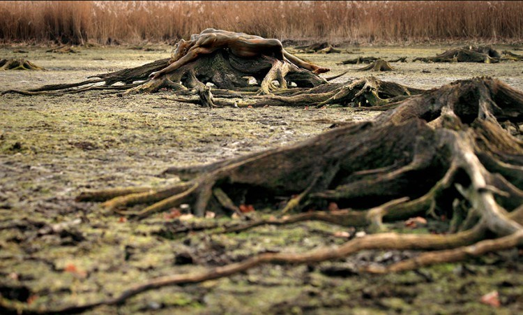 Galéria: Észrevehetetlenre festik modellek testét a művészek természetfotókhoz. Te látod, hol vannak a képeken?