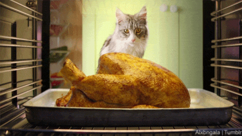 Galéria: 6 szokás, amivel minden évben meg tudom előzni, hogy felszaladjon rám pár kiló az ünnepek alatt