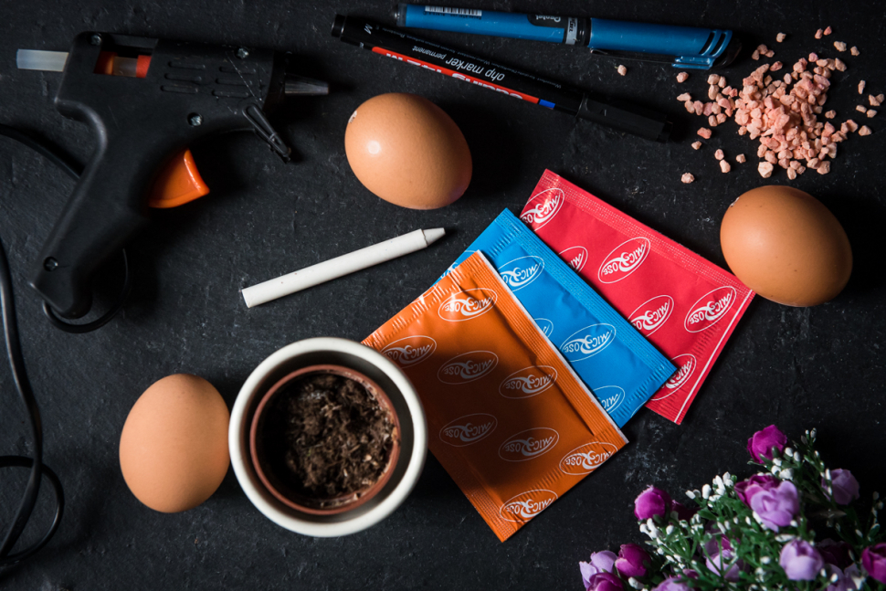 Galéria: Kaktusz, húsvéti tojásból 