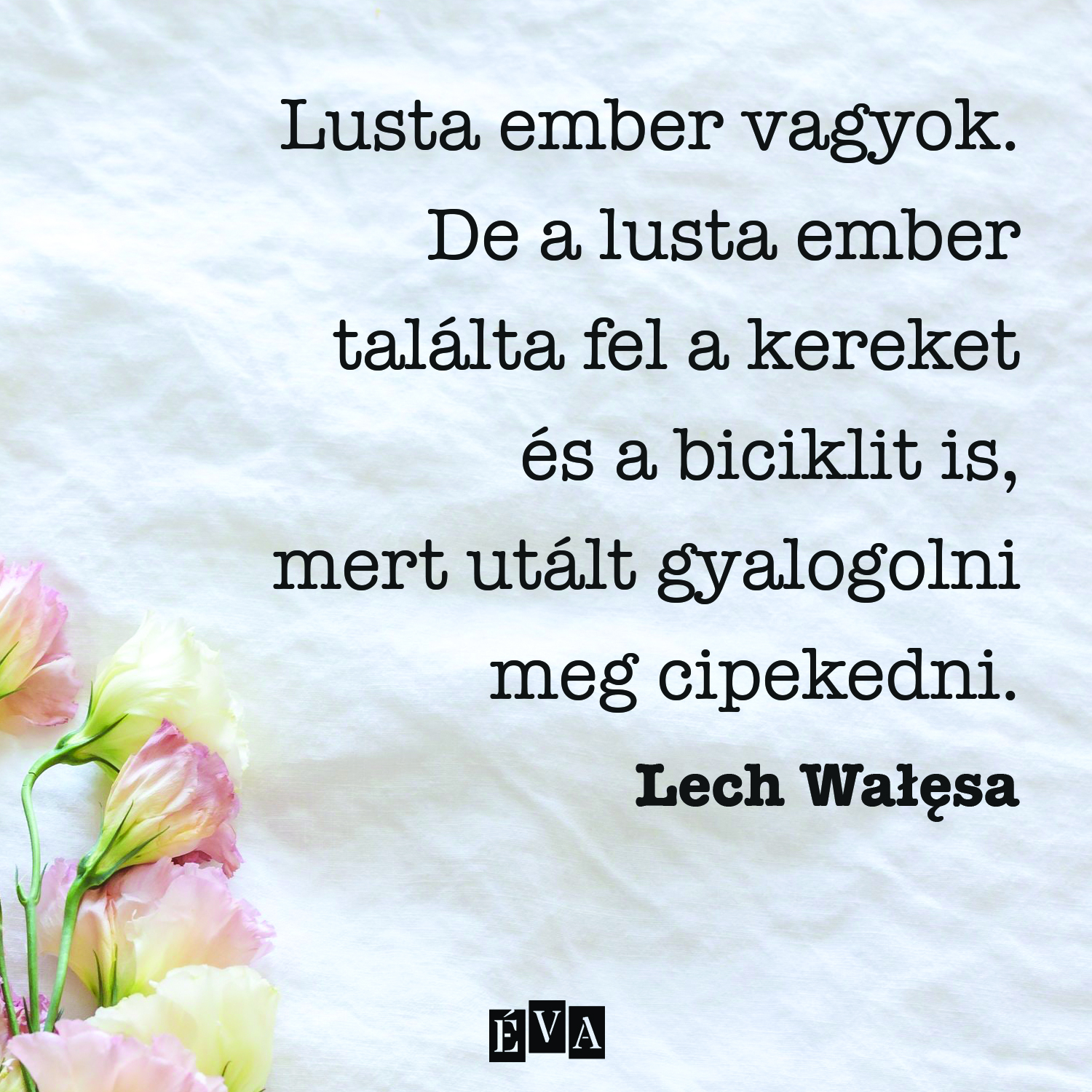 Galéria: Ne légy rest elolvasni: idézetek a lustaságról