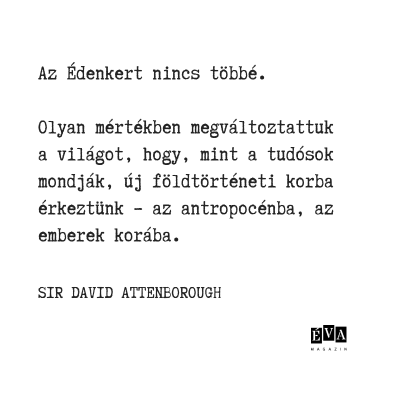 Galéria: A kedvenc idézeteink Sir David Attenborough-tól