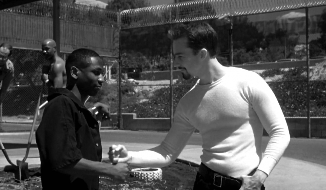 Galéria: Dobó Kata kedvencei