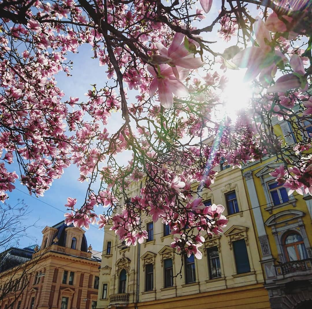 Galéria: Új galéria (2024. 03. 09)