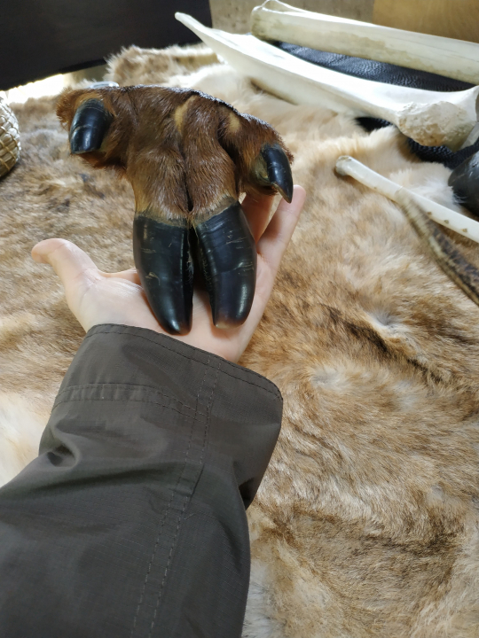 Galéria: TapiZoo - Fővárosi Állatkert