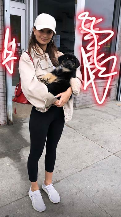 Galéria: Emily Ratajkowski új kutyája