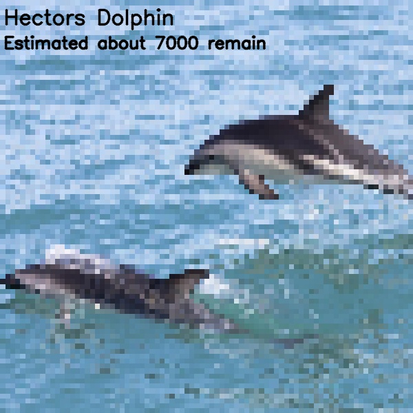 Galéria: Ahány pixelt látsz, annyi állat él ebből a fajból