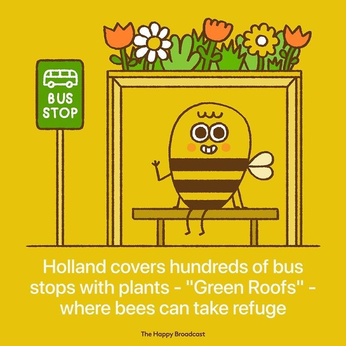 Galéria: Csak pozitívan! – az utóbbi idők legboldogítóbb hírei bájos grafikákon