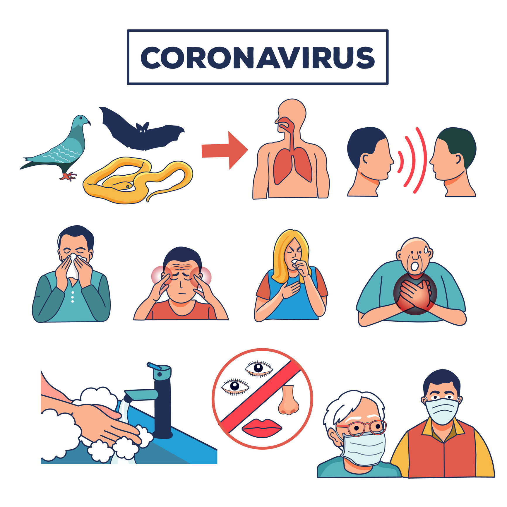 Galéria: Amit tudni akarsz a koronavírusról – pánik nélkül