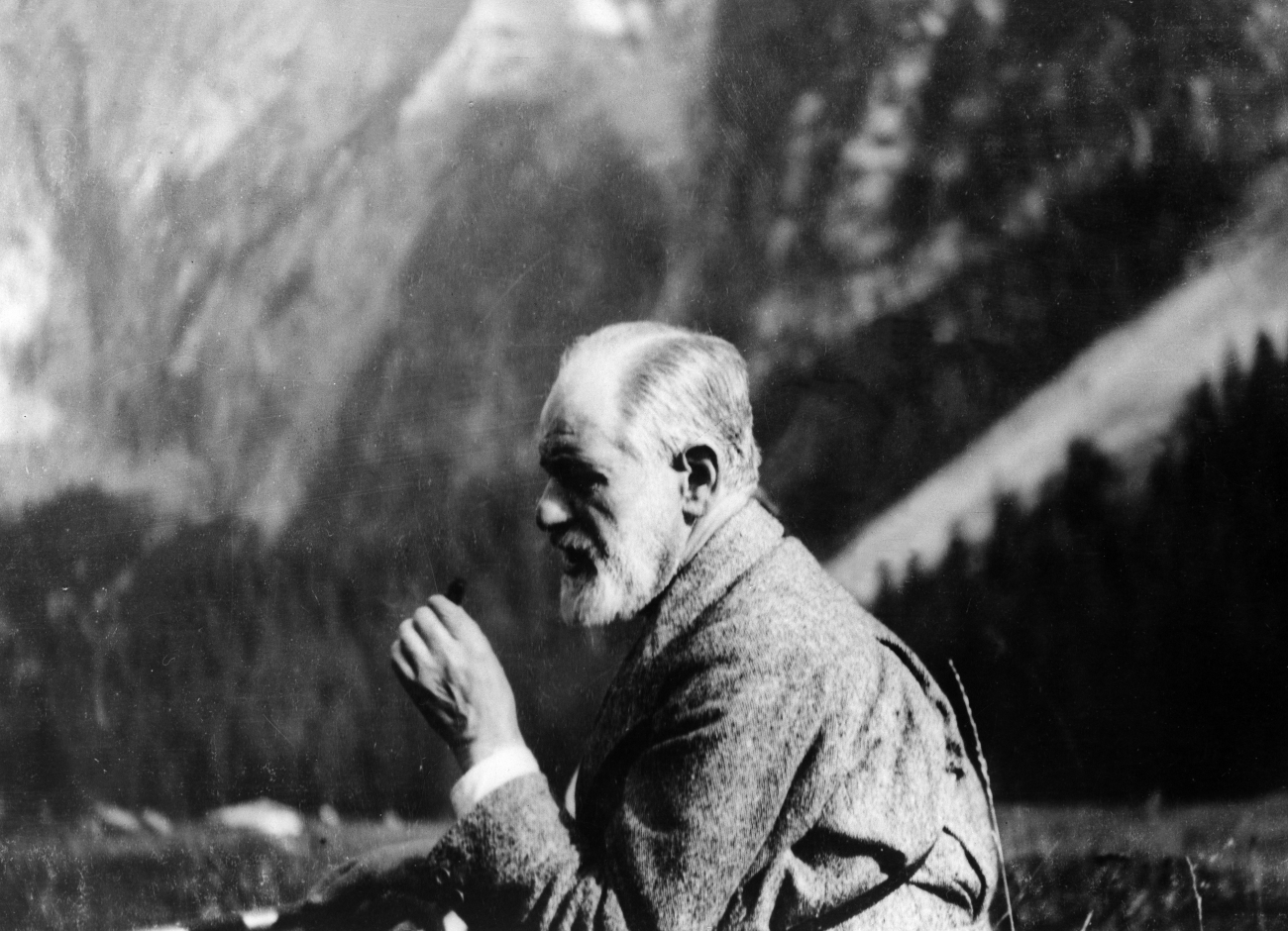 Galéria: Freud londoni és bécsi otthona