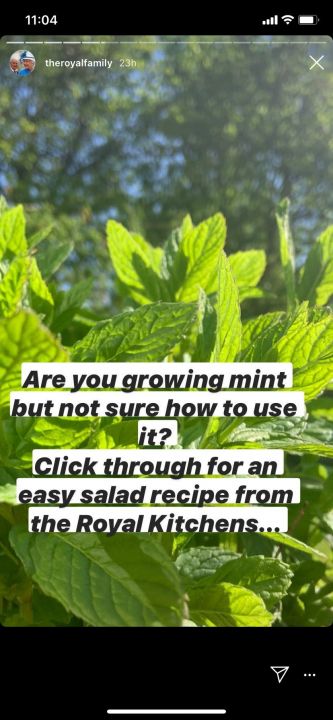 Galéria: A Brit királyi család titkos saláta receptje