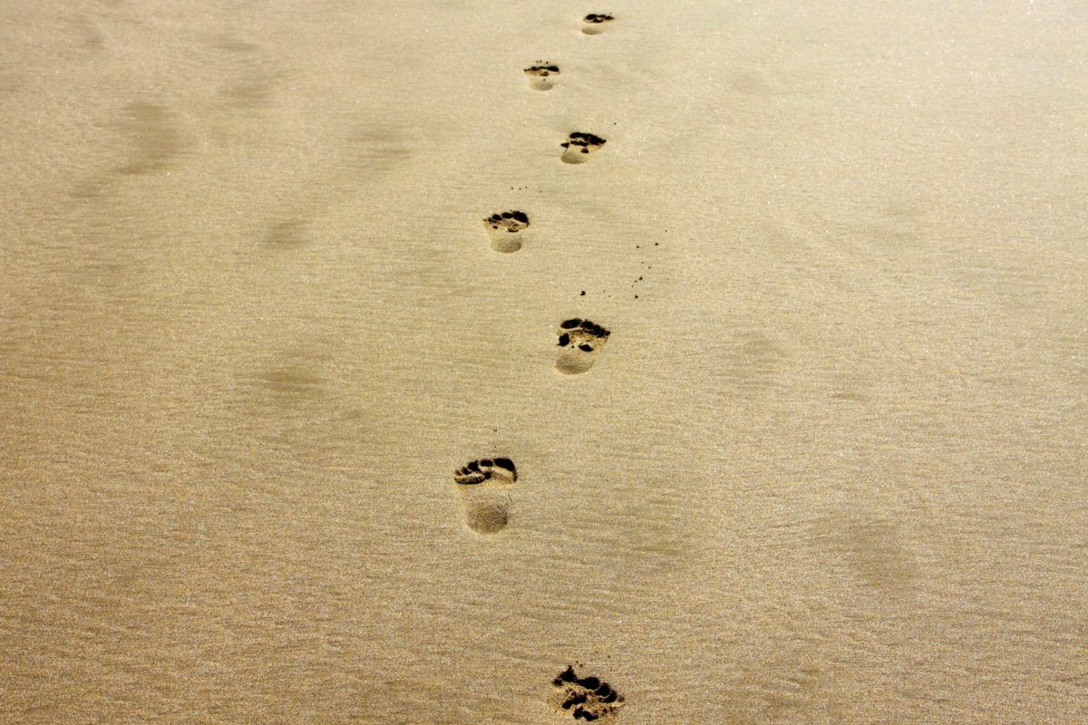 Galéria: 11 pontban összefoglaljuk a valaha írt összes önsegítő könyvet