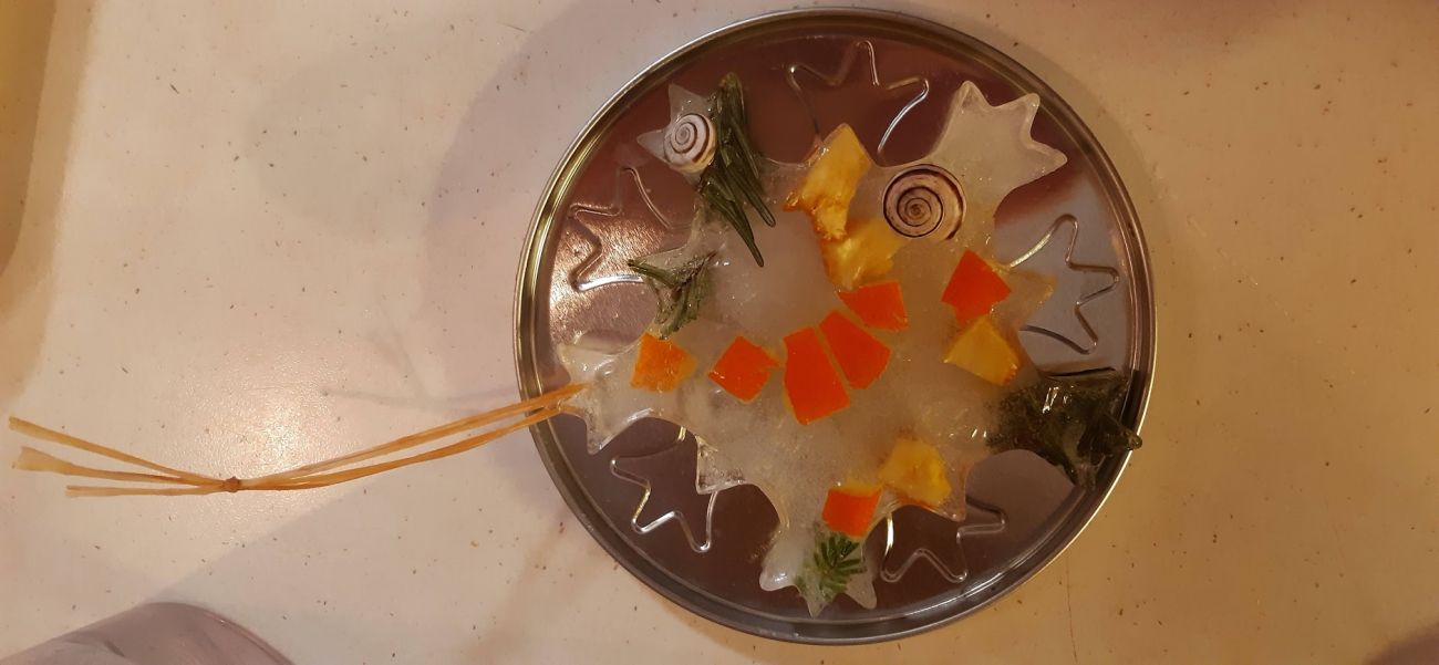 Galéria: Hogyan készítettünk jégdísz madáretetőket?