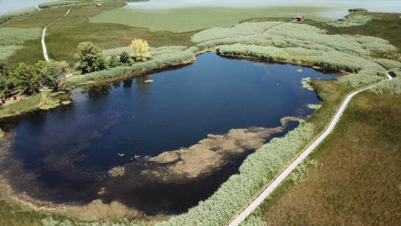 Galéria: Galériánkban a Tisza-tó, Vízi sétányának látnivalóit nézhetitek meg.