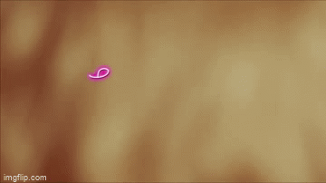 Galéria: Kedvenc beszólásaink a Doktor Szösziből