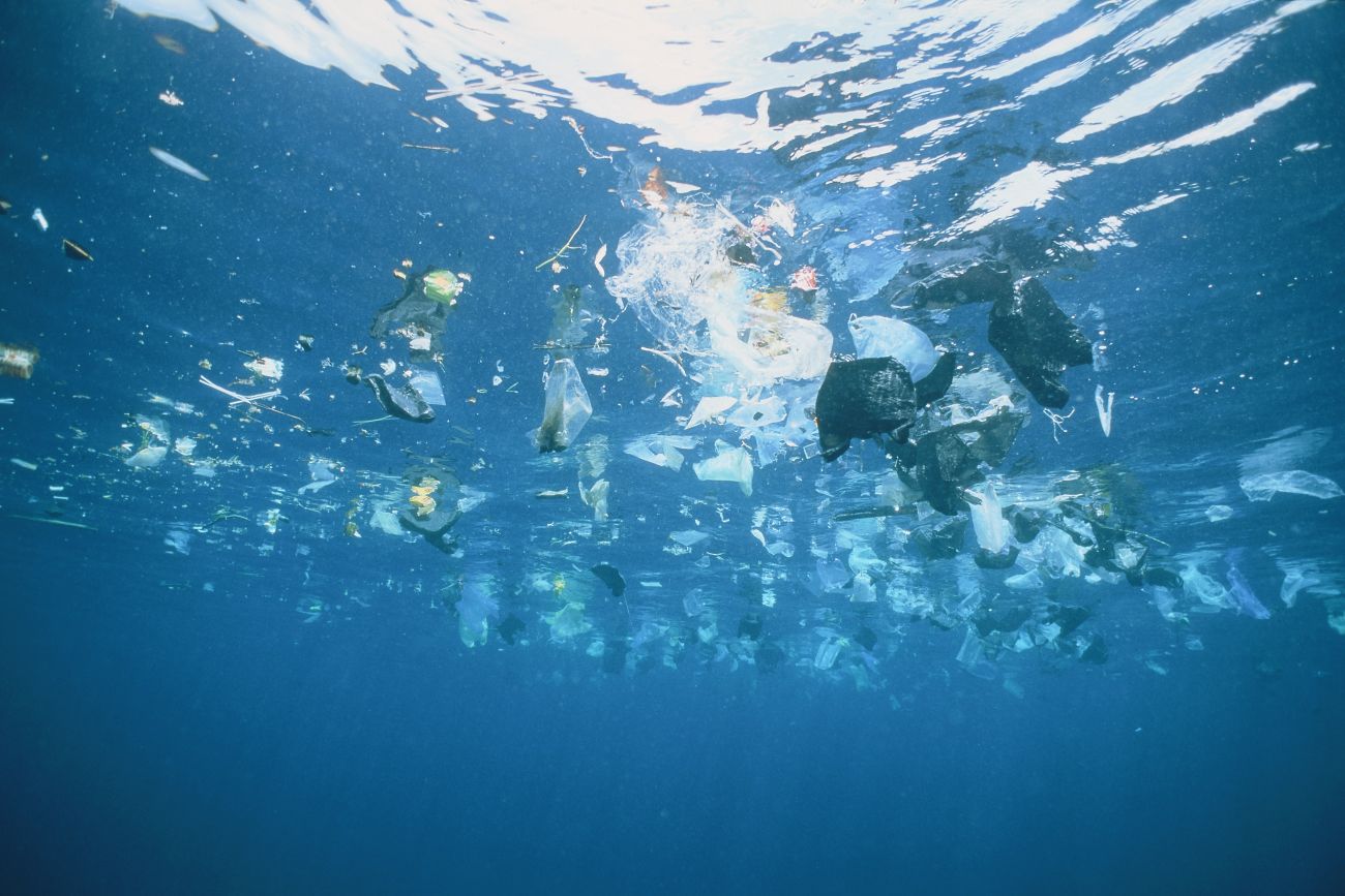 Galéria: A gyilkos neve: mikroműanyag