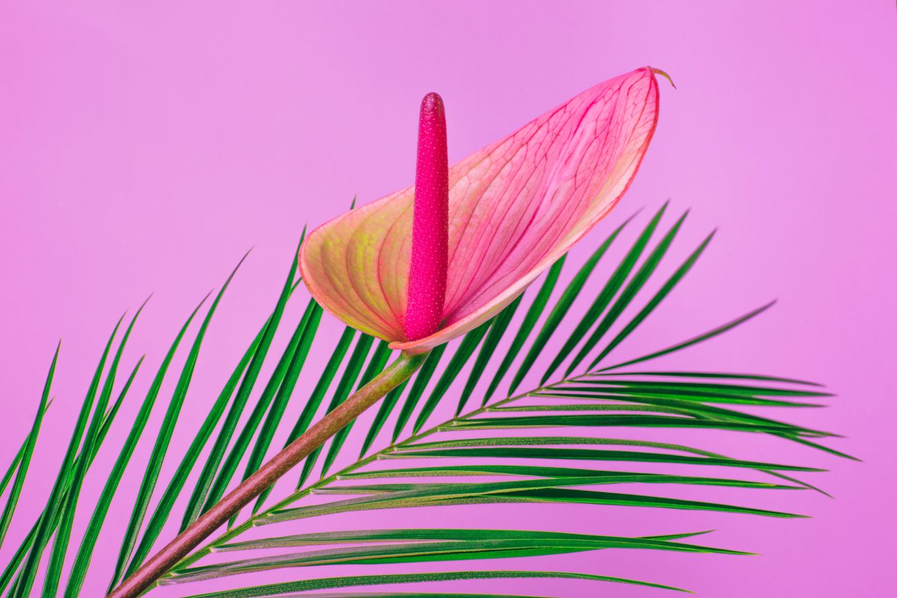 Galéria: Ez történik valójában a szexterápián