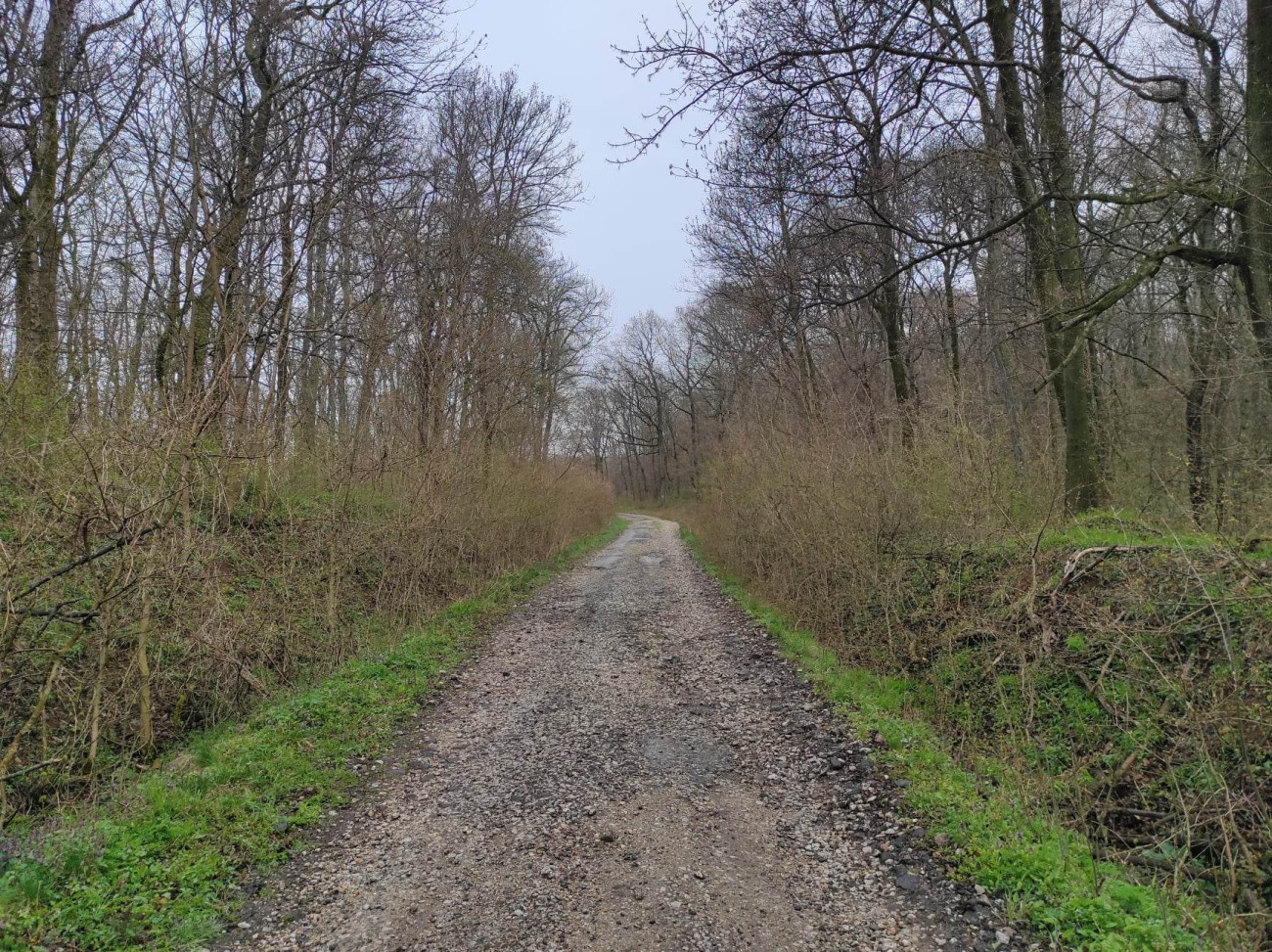 Galéria: Képek a tribecsi irodalomtúráról