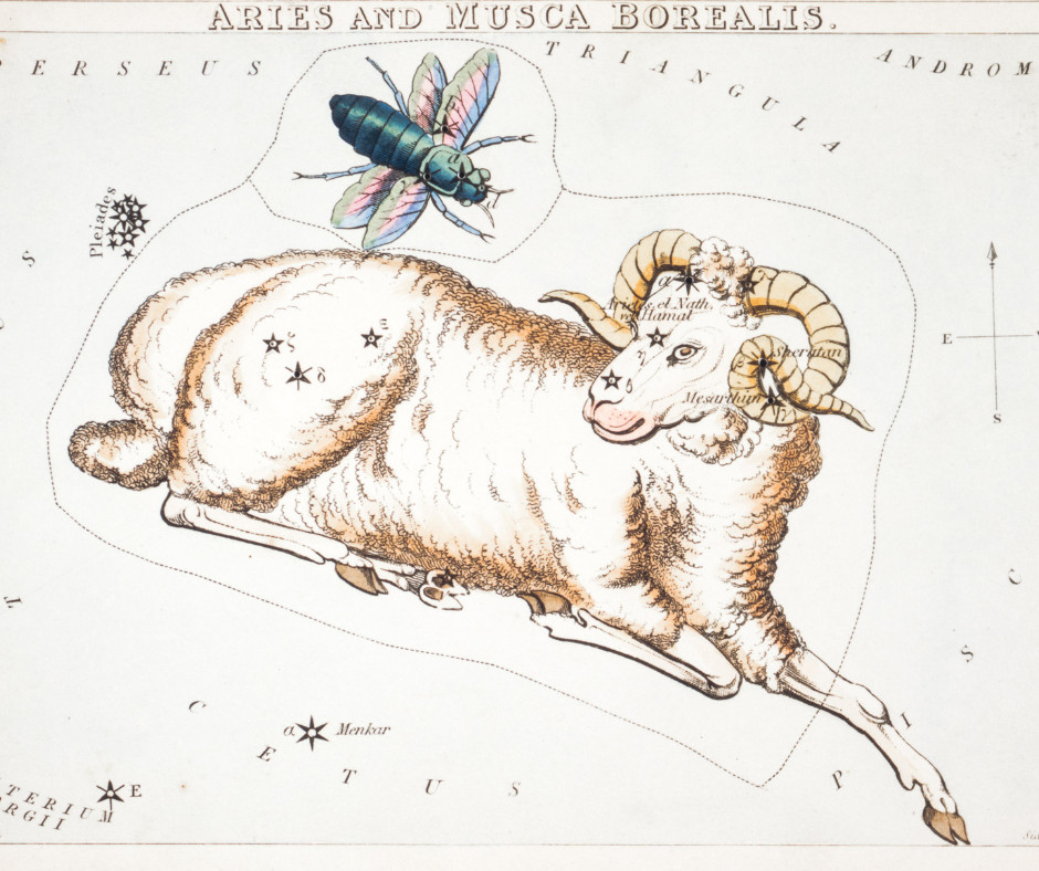 Galéria: 2024-es februári horoszkóp