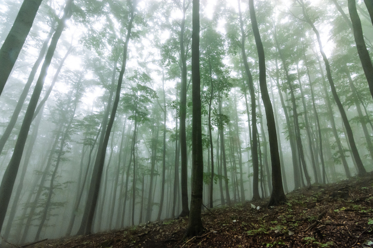 Galéria: 5 mesés falu a Bükkben, amit érdemes meglátogatnod