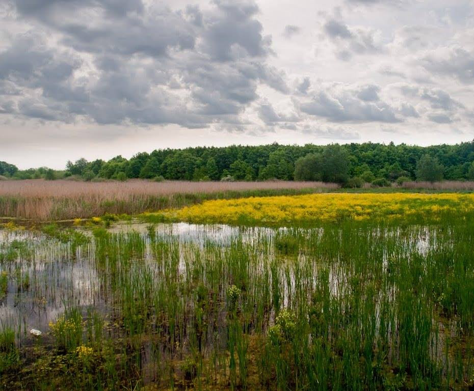 Galéria: A 10 legjobb kutyabarát kirándulóhely Magyarországon