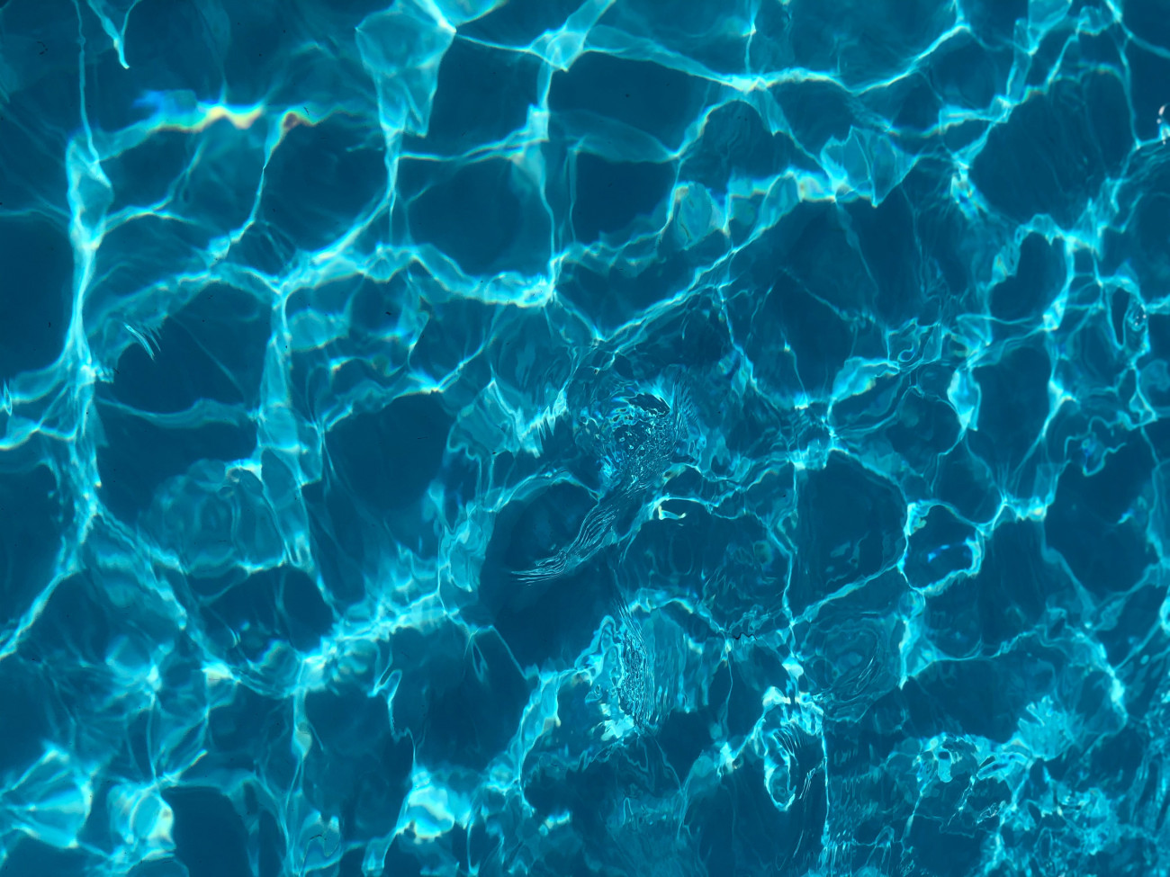 Galéria: 7 tipp, hogy egész nyáron kristálytiszta maradjon a medence vize