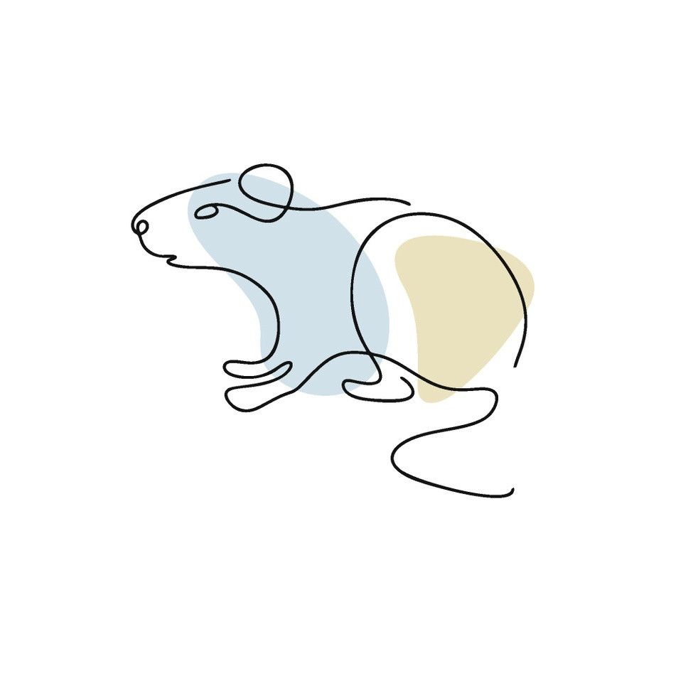 Galéria: 6 kínai állatjegy, akinek nehézségeket hoz a július!