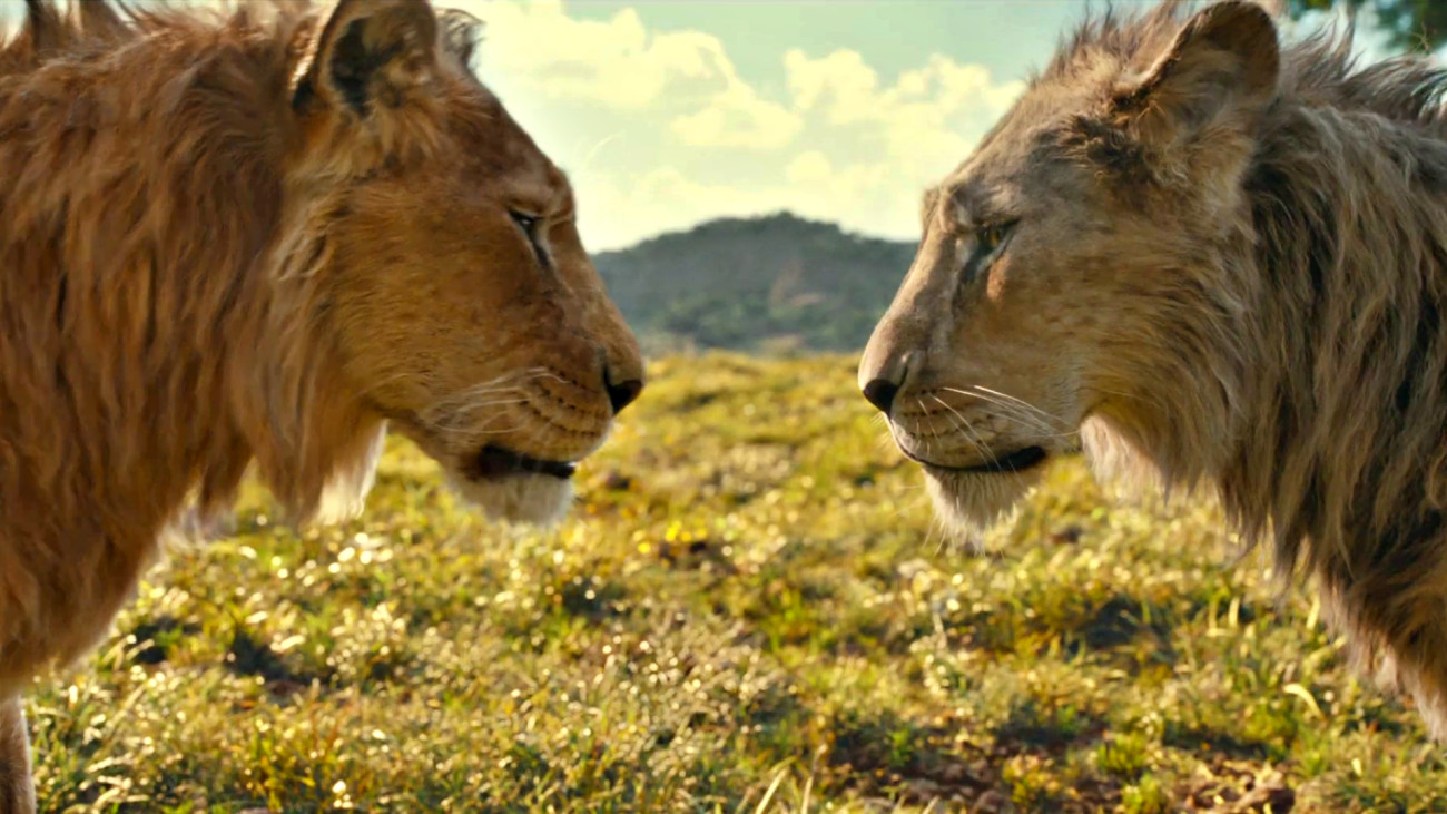 Galéria: 2024 legjobb alkotásai, amik taroltak a mozikban