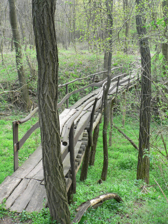 Galéria: 7 lenyűgöző késő tavaszi túraútvonal Magyarországon