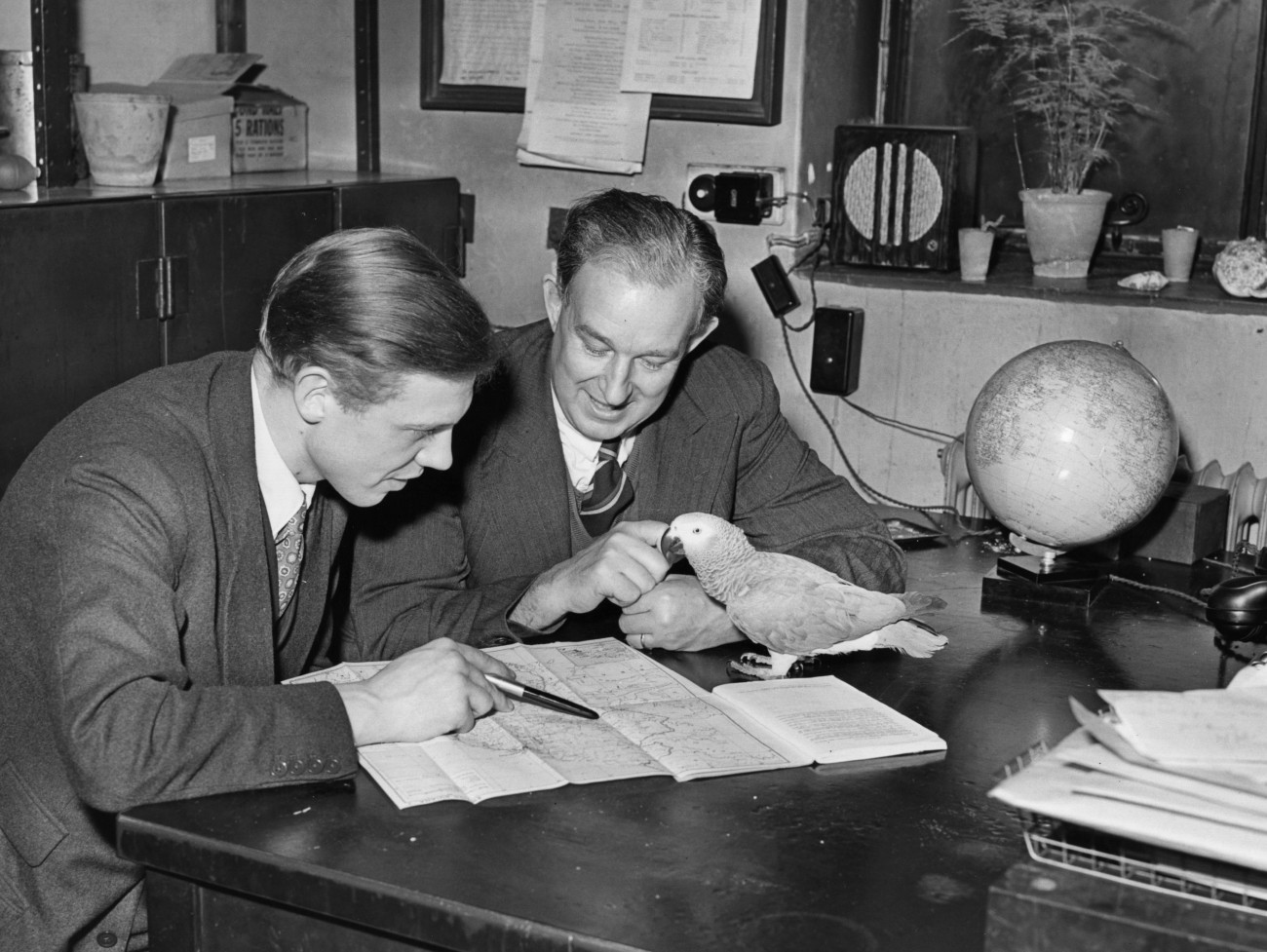 Galéria: 10 inspiráló gondolat Sir David Attenborough-tól