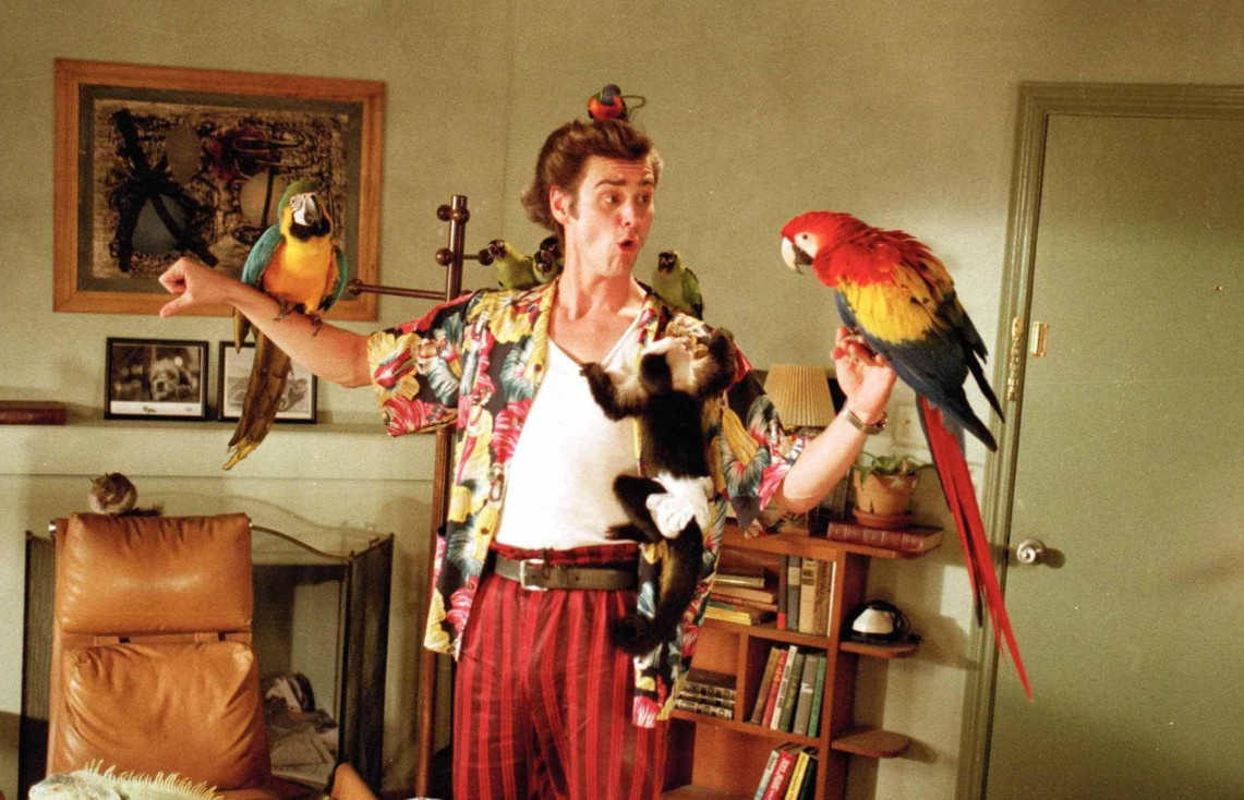 Galéria: Jim Carrey 10 legjobb filmje a közönség szerint