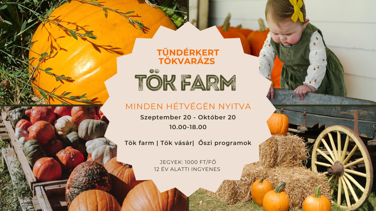 Galéria: Októberi programok Budapesten és környékén, amiket ne hagyj ki