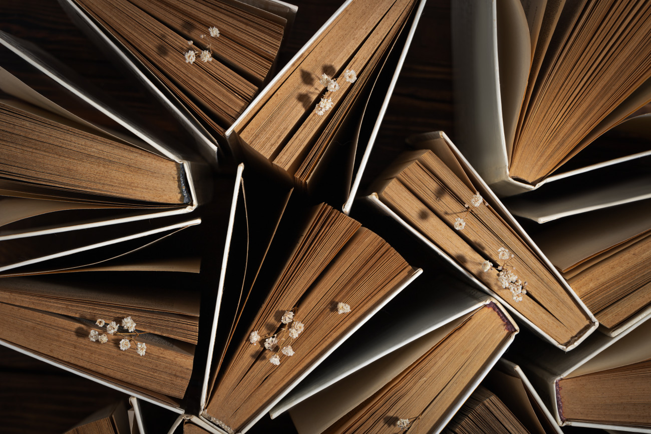 Galéria: Könyvek novemberre, amik nem hagynak majd nyugodni