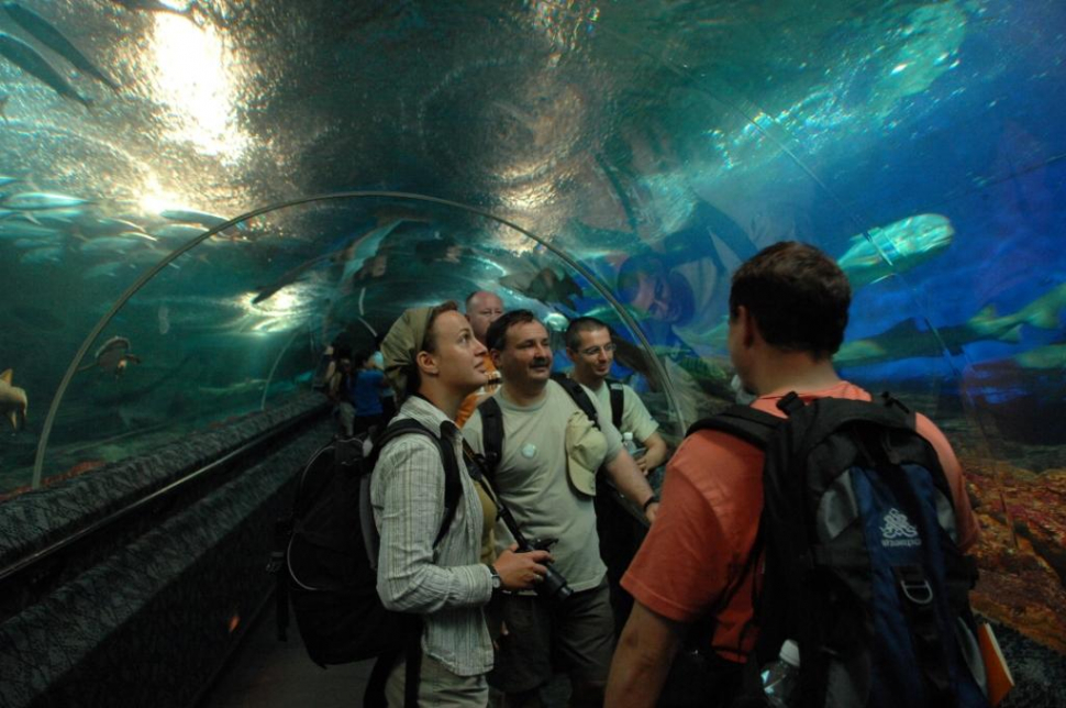 Galéria: 6 vidéki állatkert, amit tényleg érdemes meglátogatnod