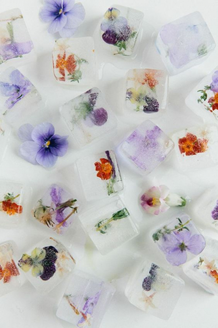 Galéria: Fagyaszd le a nyarat: tedd el az ehető virágokat is!