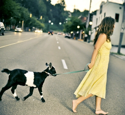 Borítókép: Kormos Anett: A világ legbénább locsolóverse