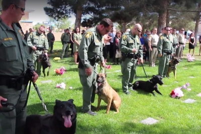Borítókép: Így búcsúztatják társukat a rendőrkutyák – szívhez szóló videó