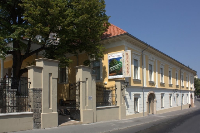 Kép