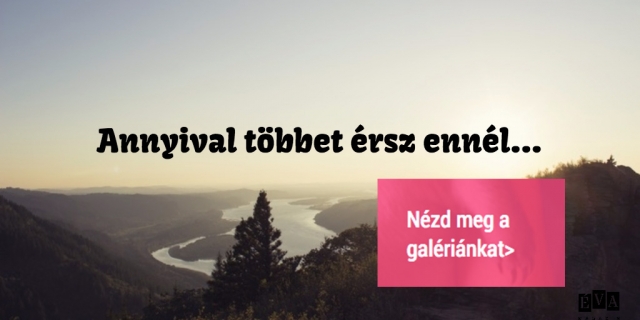 Kép