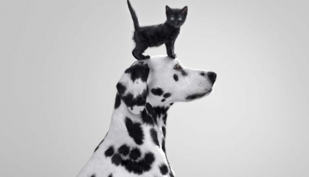 Borítókép: Normálisak az anyajegyeid? Ezzel a módszerrel otthon is ellenőrizheted 