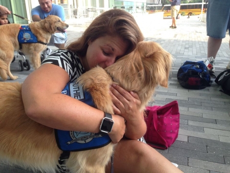 Borítókép: Sorra érkeznek a segítőkutyák Orlandoba, támogatni a túlélőket