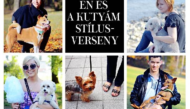 Borítókép: „Én és a kutyám” stílusverseny