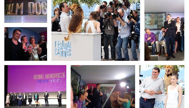 Borítókép: Mundruczó Kornél kutyája is díjat kapott Cannes-ban